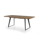 DINING TABLE DT-110