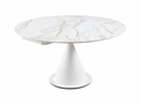 DINING TABLE DT-509